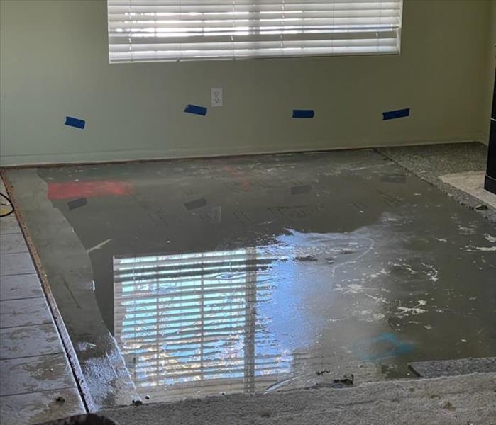 water spread out the floor in living room 
