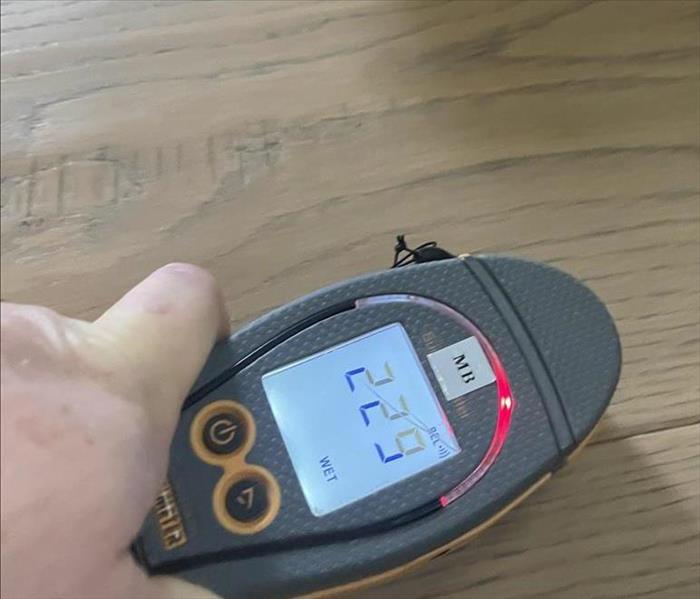 picture of a hand holding a moisture meter 